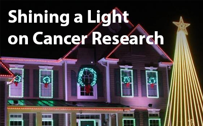 Holiday lights image