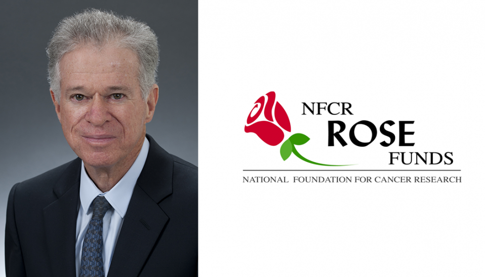 Sandy Hillsberg rose fund