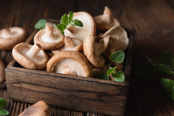Shiitake mushrooms cancer-fighting recipe