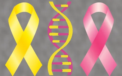 bladder breast cancer