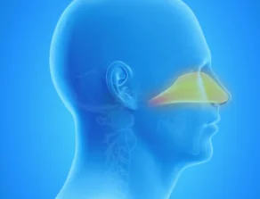 Heand and Neck Cancer Location