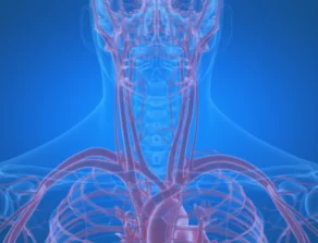 Blood Cancer Location