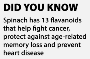 Spinach-DYK-57407 Spinach-DYK-57407