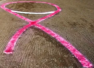 westhillscollege-softball2-300x217