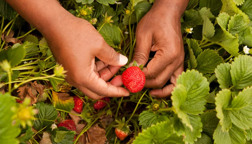 Cancer-Friendly-Summer-Activities