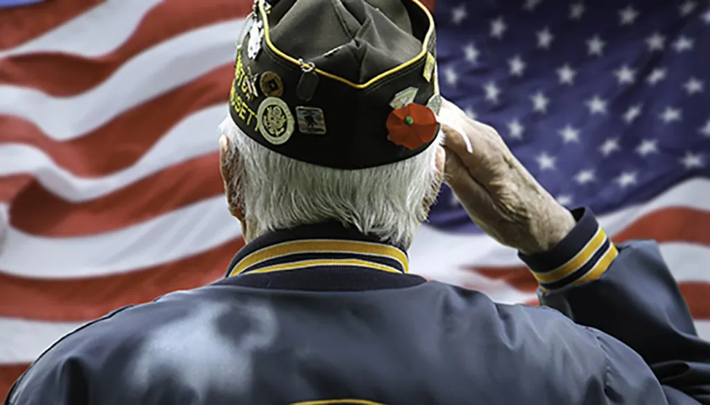 Veterans Day Honor Our Heroes Older Veteran salutes the American flag