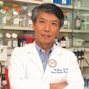 Wei Zhang Wei Zhang
