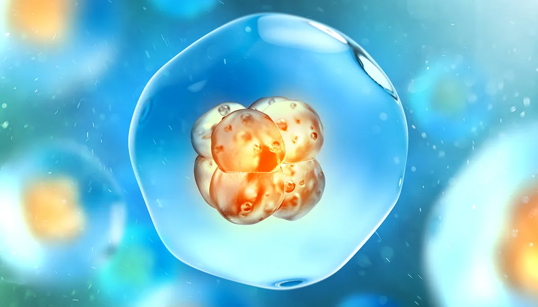 Propelling the fight against pancreatic cancer