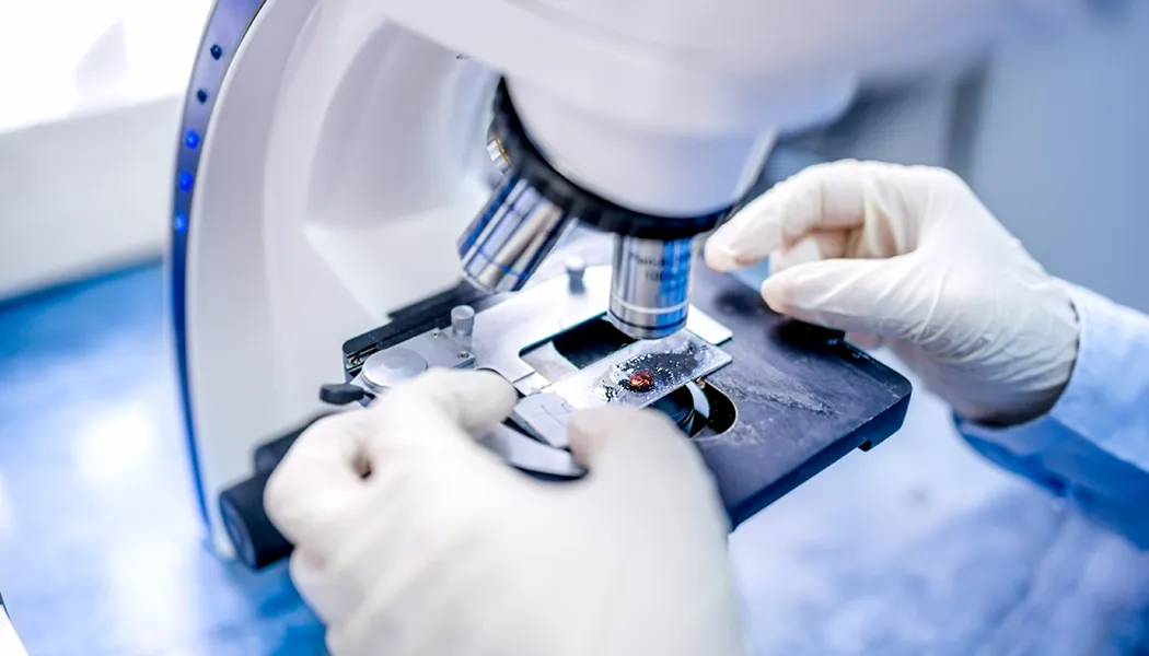 Close-up,Of,Scientist,Hands,With,Microscope,,Examining,Samples,And,Liquid