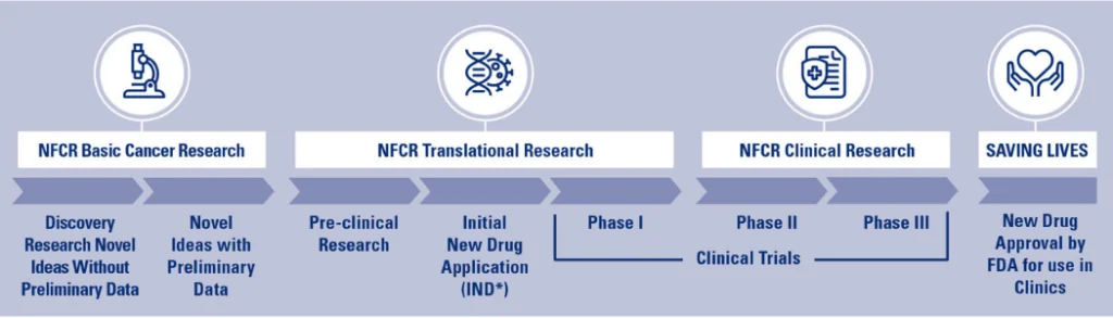 Main infographic no wht space NFCR's Journey of Cancer Research