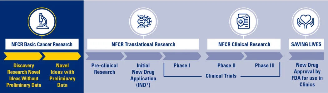 tier 2 basic research highlighted
