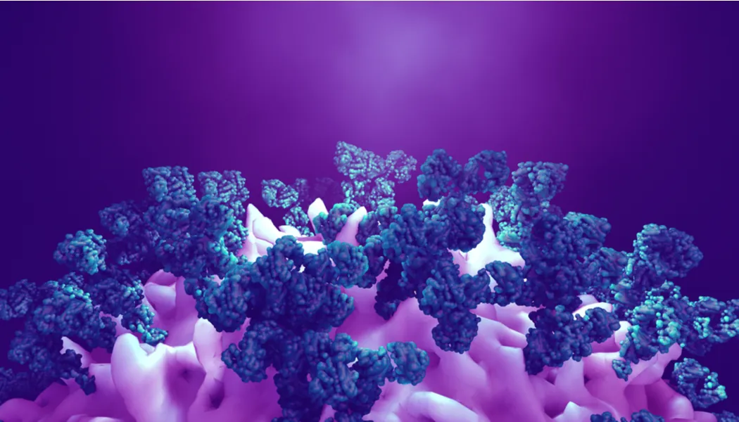 antibodies attack cancer