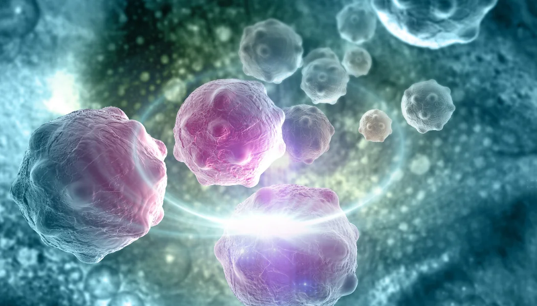 Dr. Daniel Haber and his team developed the CTC-iChip – a medical device to capture the few circulating melanoma tumor cells (CTCs) present in a standard blood sample from a patient.