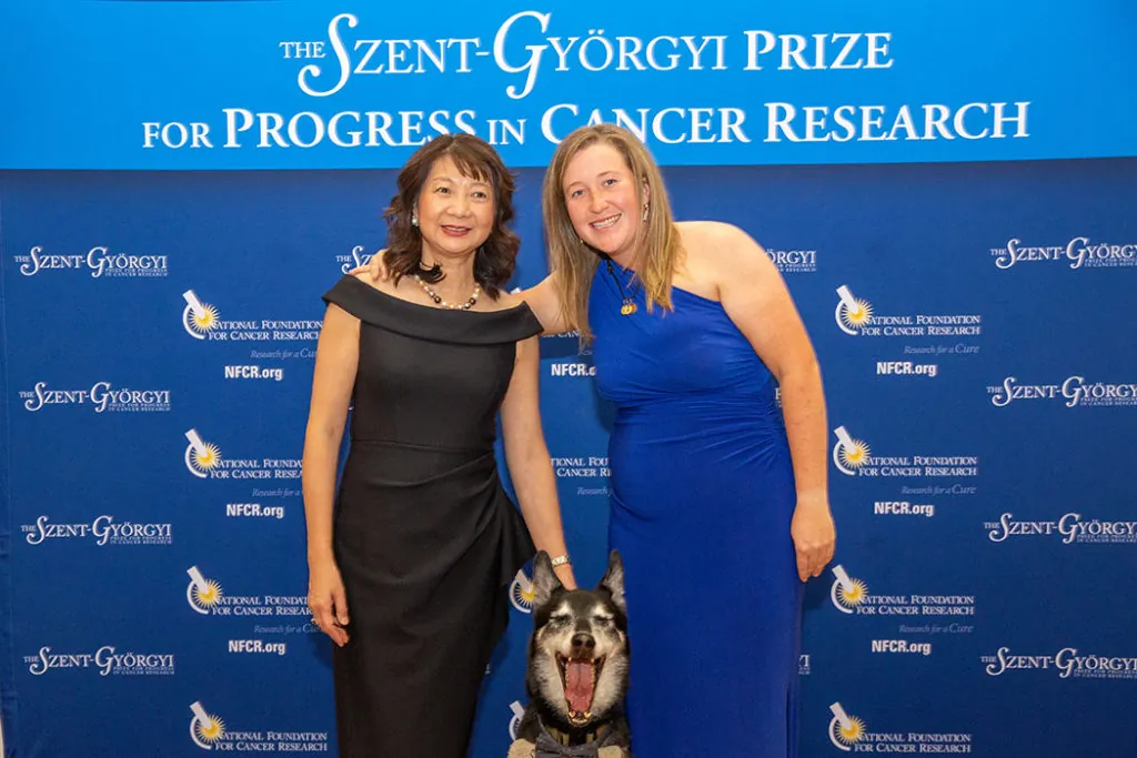 2022 Global Summit Cocktail Party