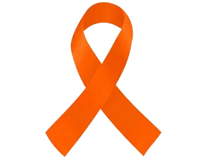 Kidney-removebg-preview