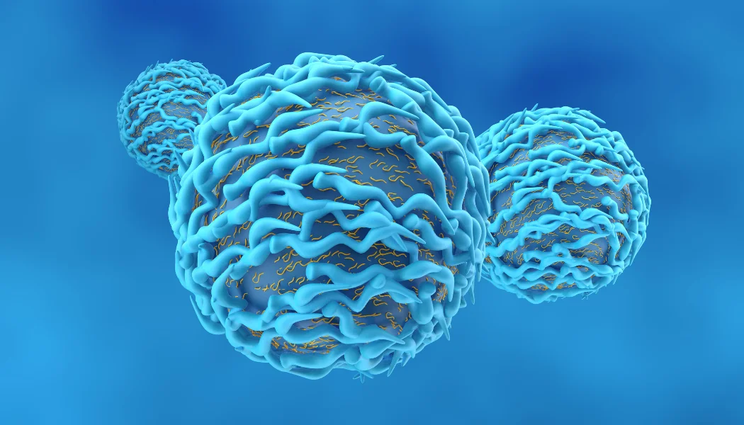 Cancer Immunotherapy