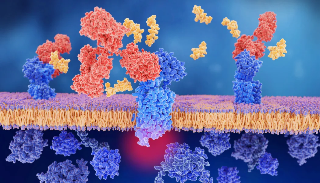 Tumor Microenvironment