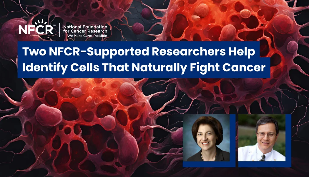 Two NFCR-Supported Researchers Help Identify Cells That Naturally Fight Cancer