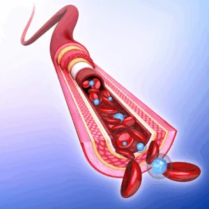 Circulating Tumor Cells Circulating Tumor Cells